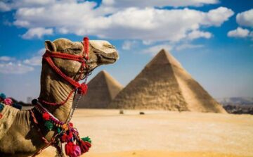 Вы сейчас просматриваете Без бюрократии: в Египте упростят систему Tax Free, сделав ее выгодной для туристов