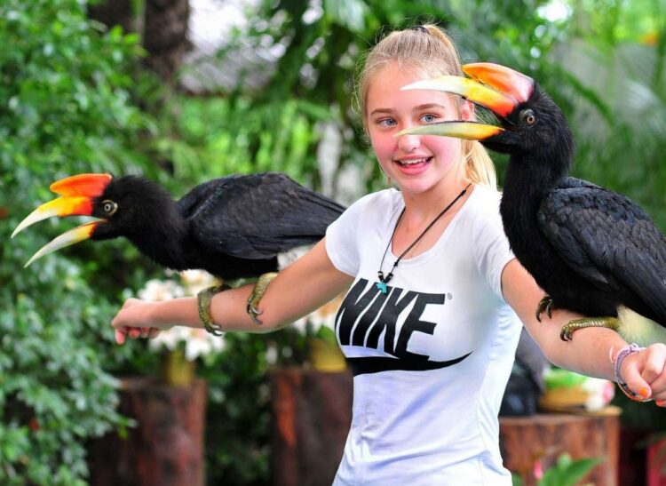 Парк птиц Phuket Bird Paradise