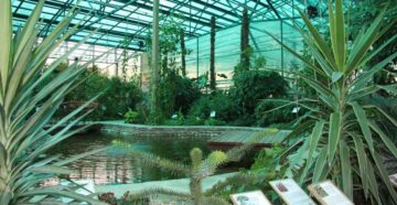 Ботанический сад «Ботаника» в Вологде