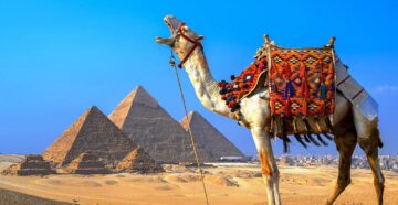 Перебои с Египтом: отмена авиарейсов в страну повлияла на туры, но пока не критично