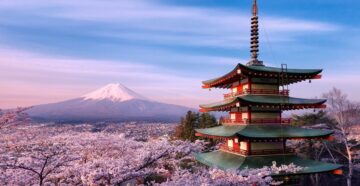В Японию на цветение сакуры и не только: туроператоры стали активнее предлагать туры в страну