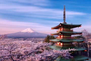 Вы сейчас просматриваете В Японию на цветение сакуры и не только: туроператоры стали активнее предлагать туры в страну