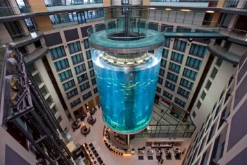 Вы сейчас просматриваете Мокрое ЧП в Германии: в Берлине внезапно лопнул самый большой аквариум Европы «АкваДом»