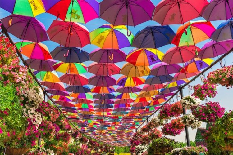 Аллея зонтиков в Парке цветов