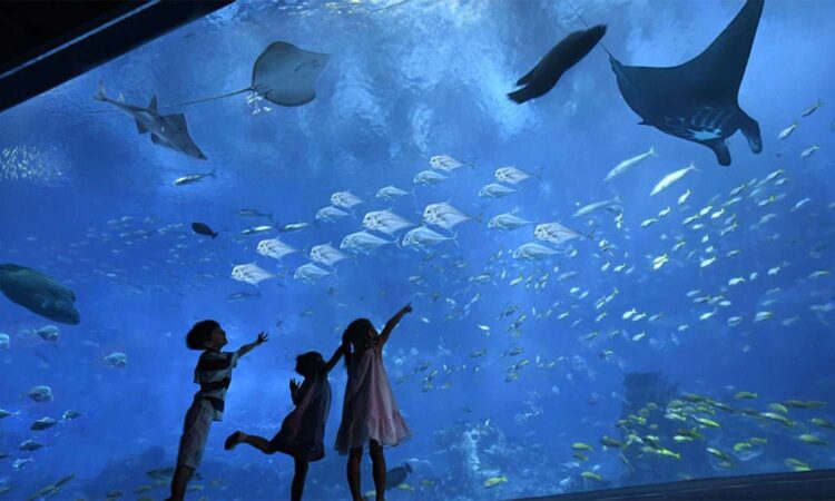 Дети с Гранд аквариуме в Хургаде