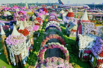 Вы сейчас просматриваете Парк цветов Miracle Garden в Дубае — настоящий сад чудес среди песков
