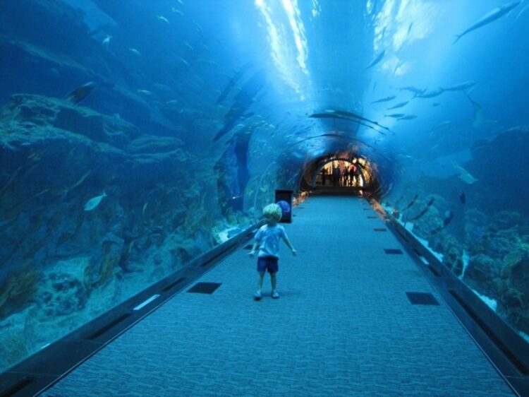 подводный тоннель