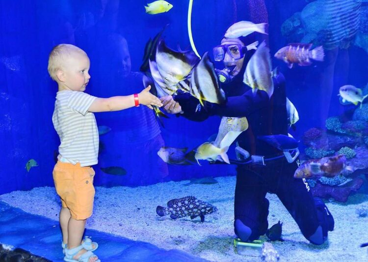 Посещение Гранд аквариума в Дубае