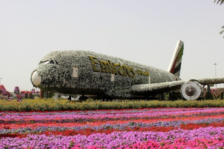 самолет в Парке цветов
