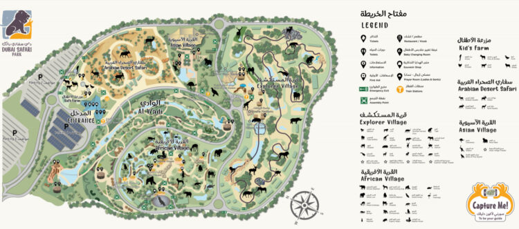 Схема Сафари-парка в Дубае