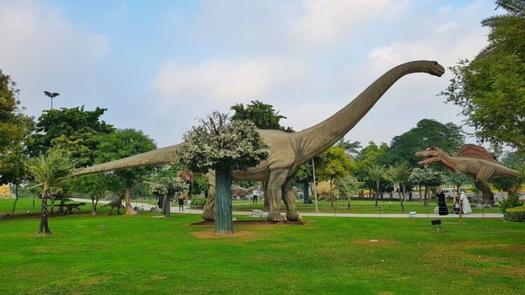 Dino park в Дубае