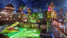 Лучшие парки аттракционов и развлечений в Дубае
