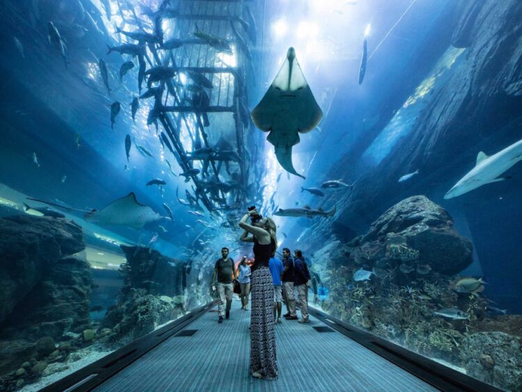 Океанариум в Dubai Mall 