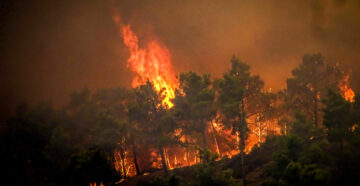 Стена огня: небывало сильные пожары обрушились на туристические регионы Греции в 2023 году
