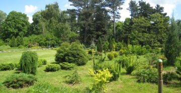 Ботанический сад имени Канта в Калининграде