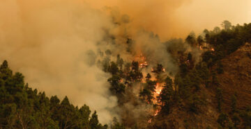 Остров в огне: сильнейший лесной пожар на Тенерифе привёл к масштабной эвакуации