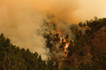 Вы сейчас просматриваете Остров в огне: сильнейший лесной пожар на Тенерифе привёл к масштабной эвакуации