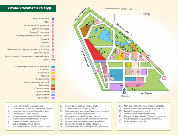 Схема Ботанического сада в Калининграде