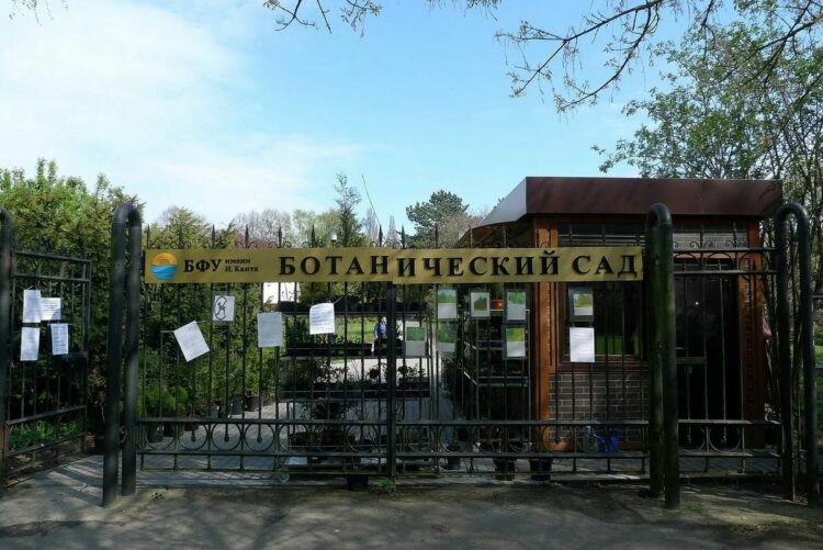 Вход в Ботанический сад в Калининграде