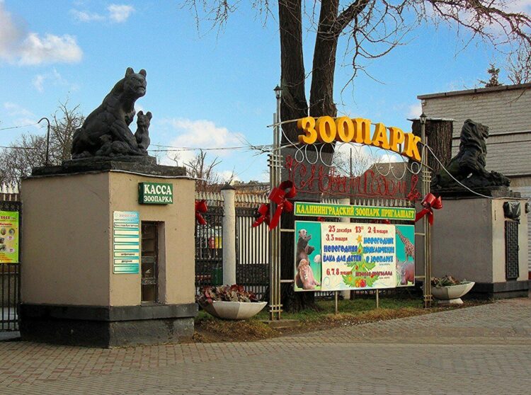 Вход в зоопарк Калининграда