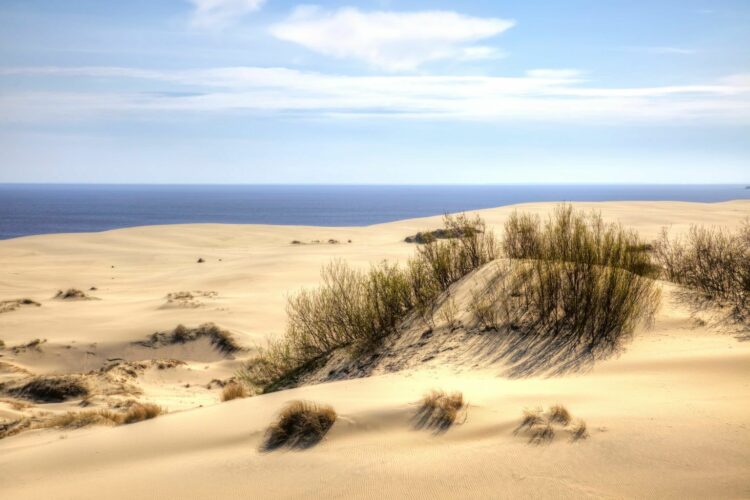 Вид на песчаные дюны на высоте Эфа
