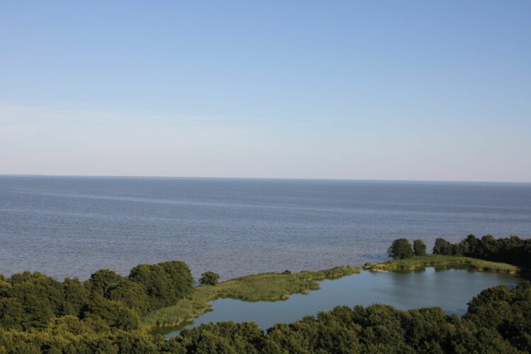 Посещение озера Лебедь в Калининградской области