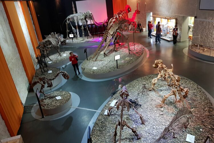 В Музее пермских древностей представлены останки динозавров, которые обитали на территории Пермского края