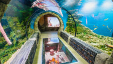 Подводный тоннель в океанариуме Екатеринбурга