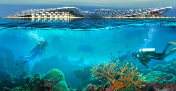 Для людей и для природы: проект по созданию группы искусственных рифов запущен в Дубае