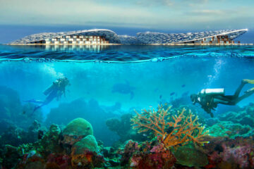 Вы сейчас просматриваете Для людей и для природы: проект по созданию группы искусственных рифов запущен в Дубае