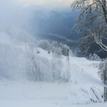 Благоприятная погода: курорт «Роза Хутор» досрочно открыл горнолыжный сезон этой зимой
