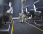Пронесённая на борт кошка бегает по самолёту