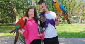 Бизнес на обмане: в Сочи задержали афериста, требовавшего огромные деньги за фото с попугаями