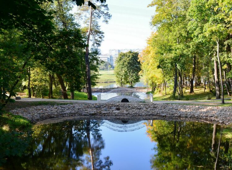 Городской парк в Обнинске