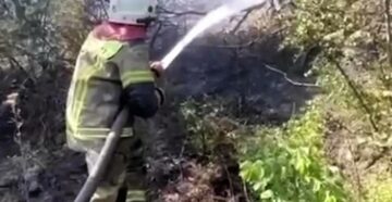 Сильный лесной пожар в районе Абрау-Дюрсо нанёс серьёзный ущерб нескольким базам отдыха