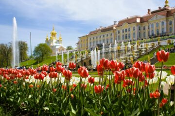 Вы сейчас просматриваете Как добраться из центра Санкт-Петербурга до Петергофа самостоятельно