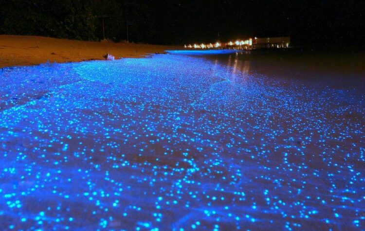 Светящийся песок на острове Ваадху на Мальдивах