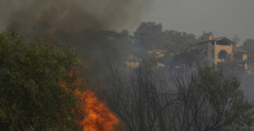 Охватил огромную территорию: на Кипре произошёл крупнейший лесной пожар вблизи Лимасола
