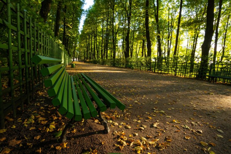 Прогулка по Летнему саду в Санкт-Петербурге