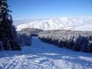 Новый Куршевель? Крупнейший в Центральной Азии горнолыжный курорт построят в Киргизии