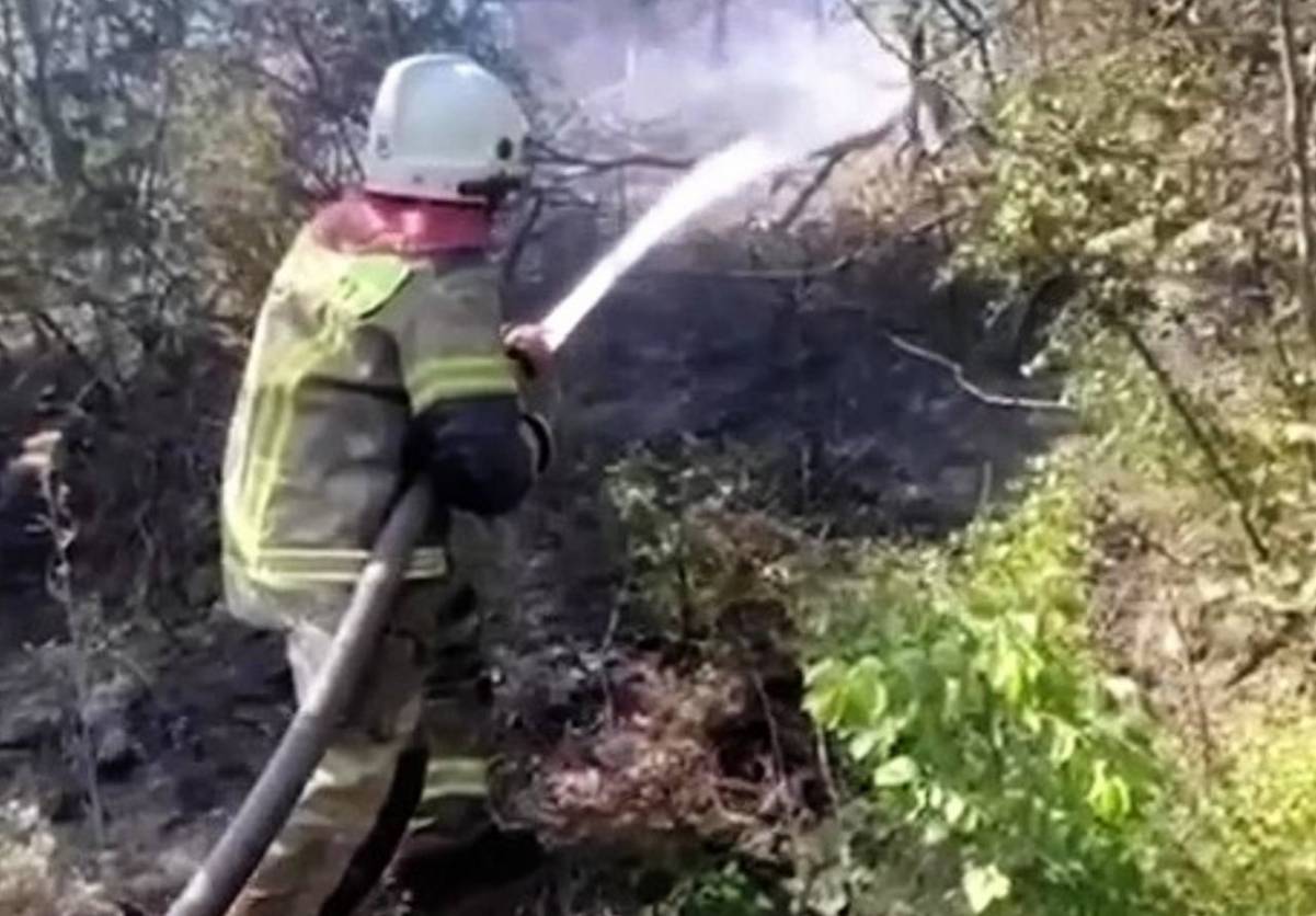 Сильный лесной пожар в районе Абрау-Дюрсо нанёс серьёзный ущерб нескольким базам отдыха
